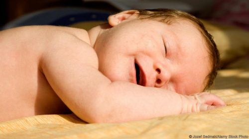 rem-sleep-seems-to-have-an-important-function