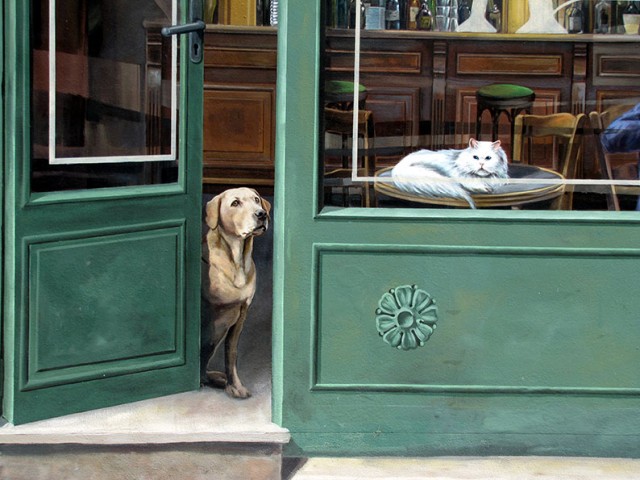 chien-640x480