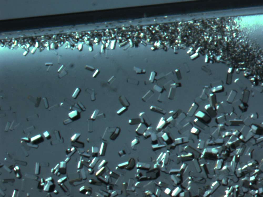 Образуване на кристали на лизозим, наблюдавано под светлинен микроскоп. Credit: Lawrence DeLucas