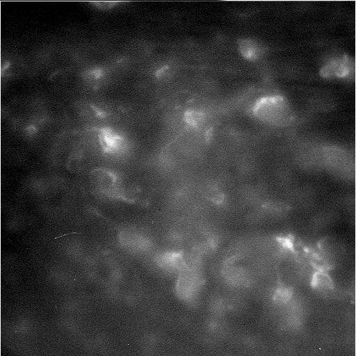 Бури и ветрове на Сатурн Credit: NASA/JPL-Caltech