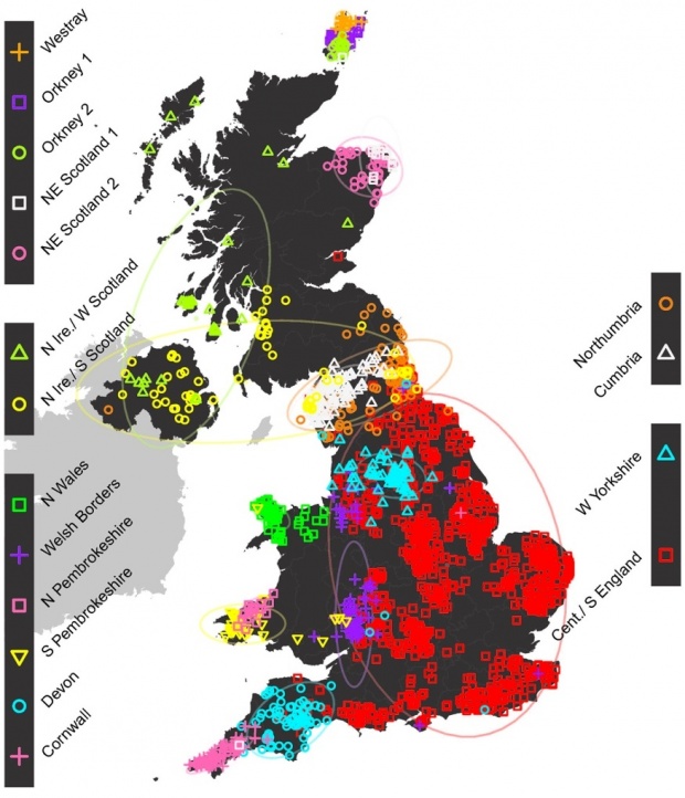Генетично изследване разкрива, че белите британци имат 30% ДНК от немски произход, а генната карта показва разделени британски острови