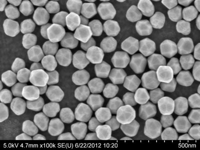 100nm_gold_nanoparticles_SEM.jpg
