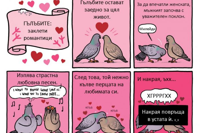 Комикс: Влюбени гълъбчета