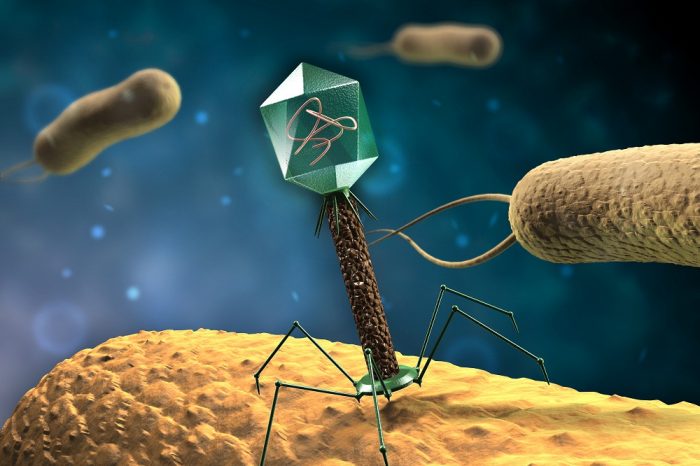 Вирус, открит в езеро, може да ни помогне да се справим с мултирезистентните бактерии