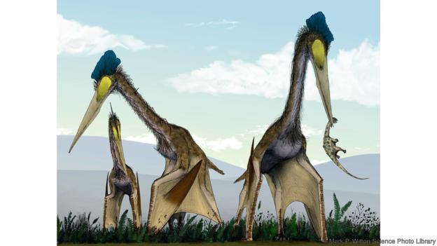 Птерозаври аздархиди на лов. Credit: Mark P. Witton/Science Photo Library