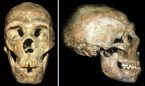 Възрастен неандерталец оцелял с малко помощ от приятели