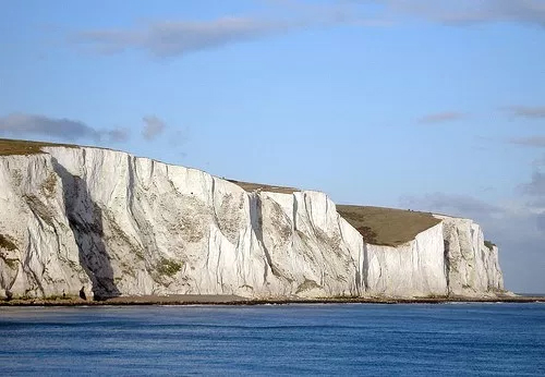 Изумителните бели скали в Доувър, Англия, са изградени основно от коколитофориди. Източник: Kyle Mayers, University of Southampton. http://moocs.southampton.ac.uk/oceans/2015/09/02/kyle-mayers-my-research/. Скалите достигат височина от 110 м, а на дължина се простират на цели 13 км.