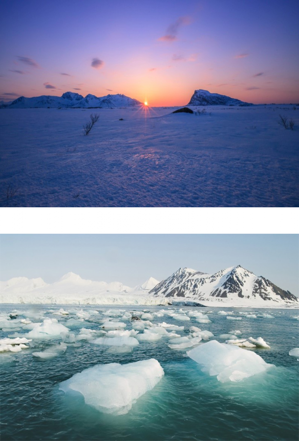 Фиг. 6. Снимки на Арктическия биом.