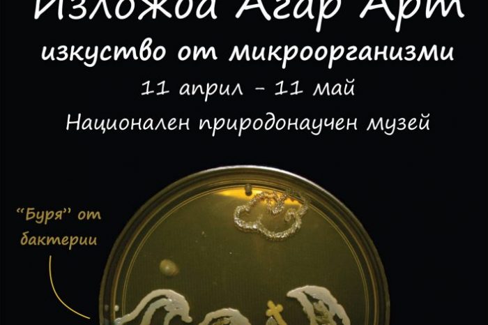 Изкуство от бактерии – микробиолози създават Ван Гог и други шедьоври с палитра от агар