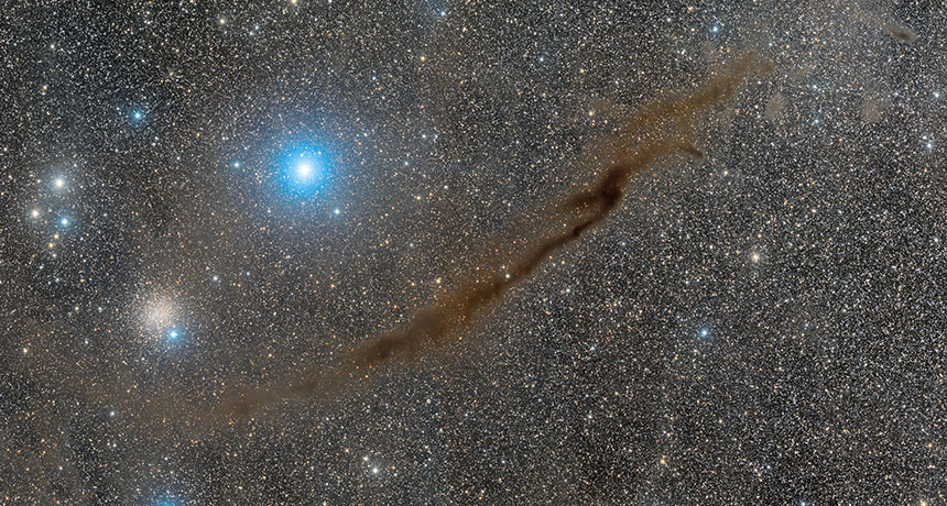 ПОВЕЧЕ ОТ ВИДИМОТО ЗА ОЧИТЕ. Змиевидният газов облак в съзвездието Муска (тъмната област в средата на изображението) наподобява тънка нишка, но всъщност представлява плоска повърхност, която се простира на около 20 светлинни години от Земята. Creidt: DYLAN O'DONNELL, DEOGRAPHY.COM/WIKICOMMONS