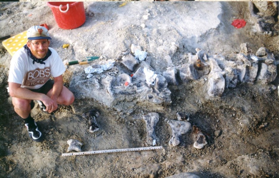 Снимка от разкопките през 1998. Credit: Photo courtesy of the KUVP archives