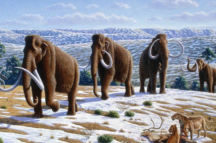 Извънпланетарно въздействие може да е предизвикало изчезването на животните през ледниковата епоха