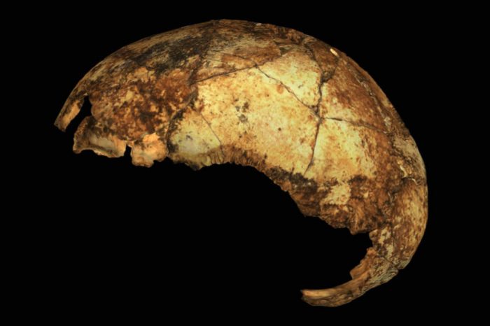 Южна Африка изглежда е изиграла важна роля за еволюцията на хоминидите преди 2 милиона години