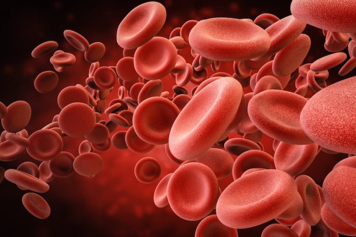 Синтетичните червени кръвни клетки, имитиращи естествените, притежават допълнителни способности