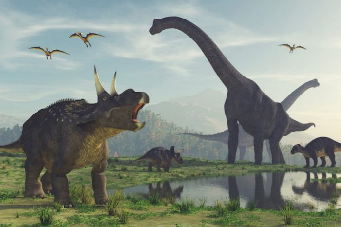 Проучване хвърля светлина върху еволюцията на най-ранните динозаври