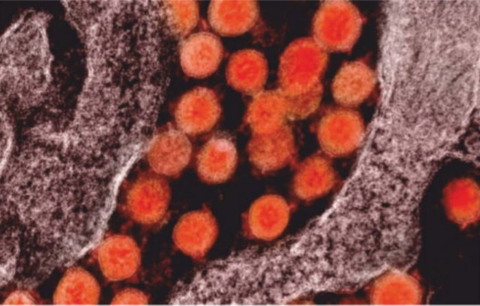 Еволюира ли коронавирусът?