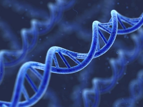 570x428-images-stories2-443-Cells_into_comps-cells_into_comps_1.jpg