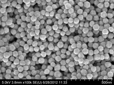 60nm_gold_nanoparticles_SEM-Credit-cytodiagnosics.jpg
