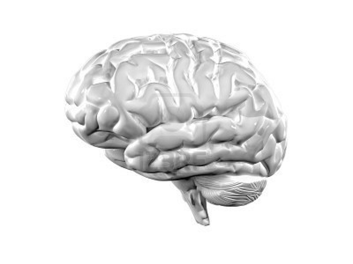 6549378-fine-3d-illustration-of-white-brain-background.jpg