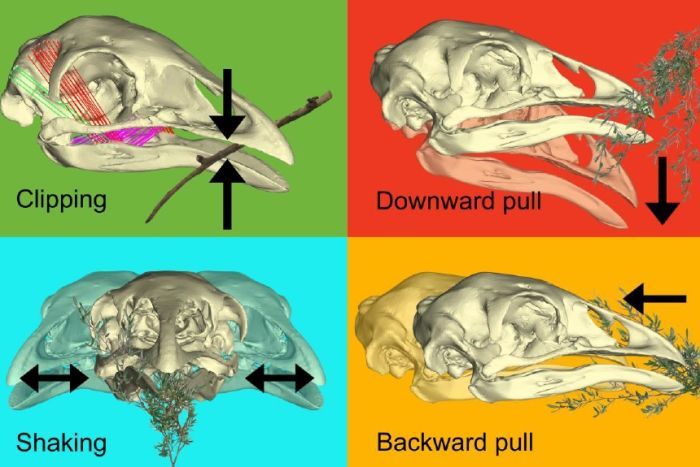 7083710-3x2-700x467.jpg (700×467)