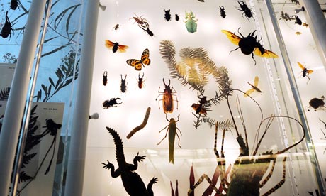 Census-of-Marine-Life-cla-007.jpg