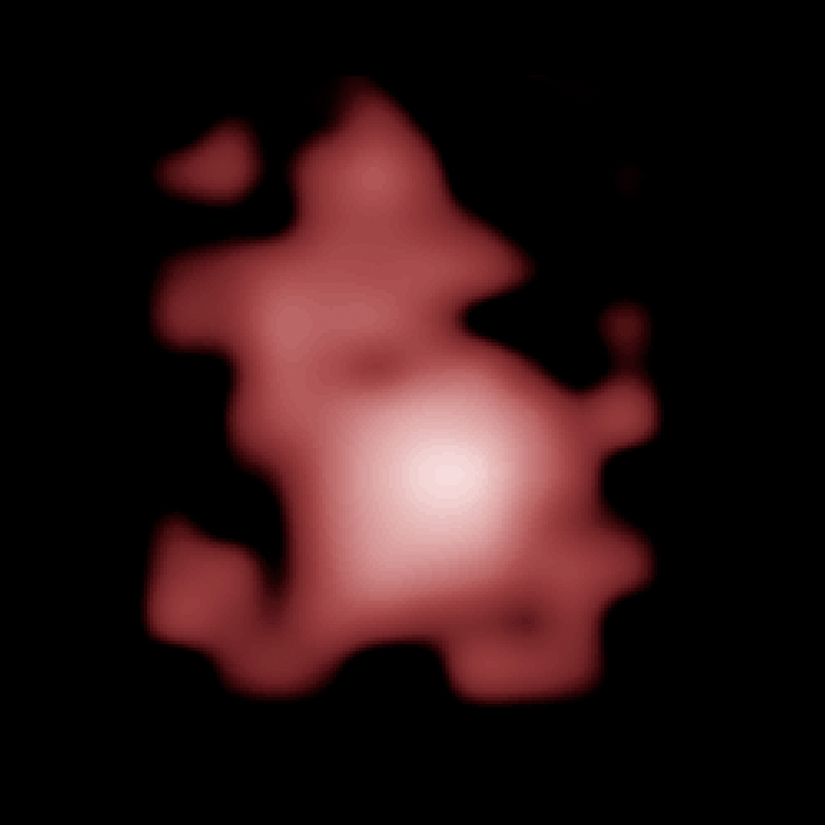 Close-up.jpg