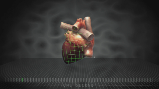 HeartResized.png