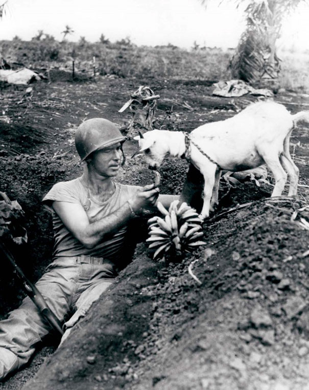 Soldier-shares-a-banana-with-a-goat-during-the-battle-of-Saipan-CA.-1944.jpg