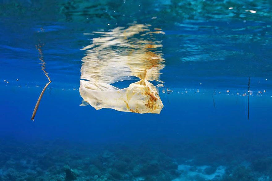 You-Will-Want-To-Recycle-Everything-After-Seeing-These-Photos-Plastic-Bag-Floating-In-The-Sea-Off-The-Philippines.jpg