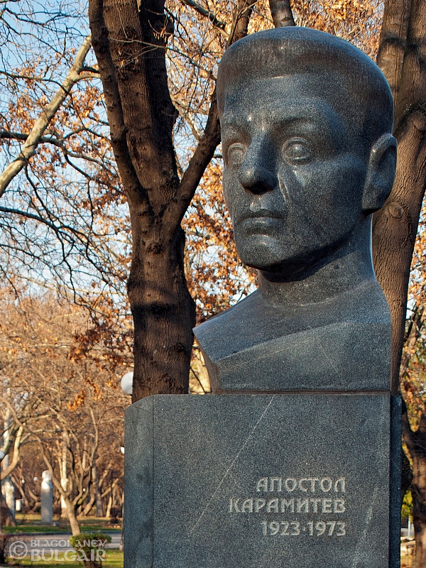 _C271454.jpg