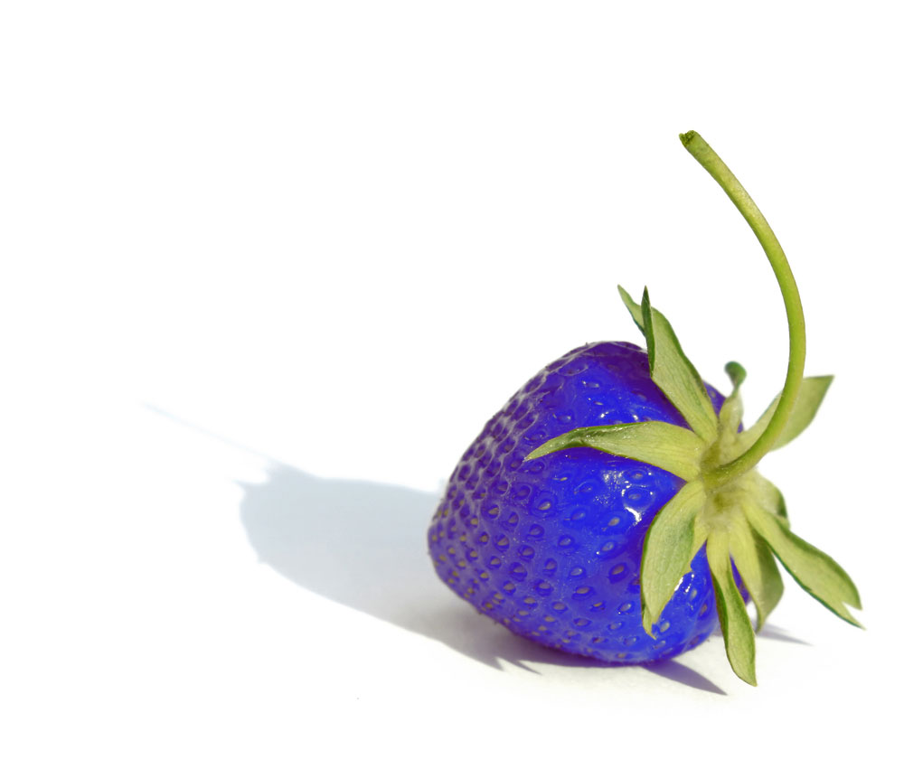 blue-strawberry.jpg