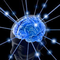 brain2.jpg