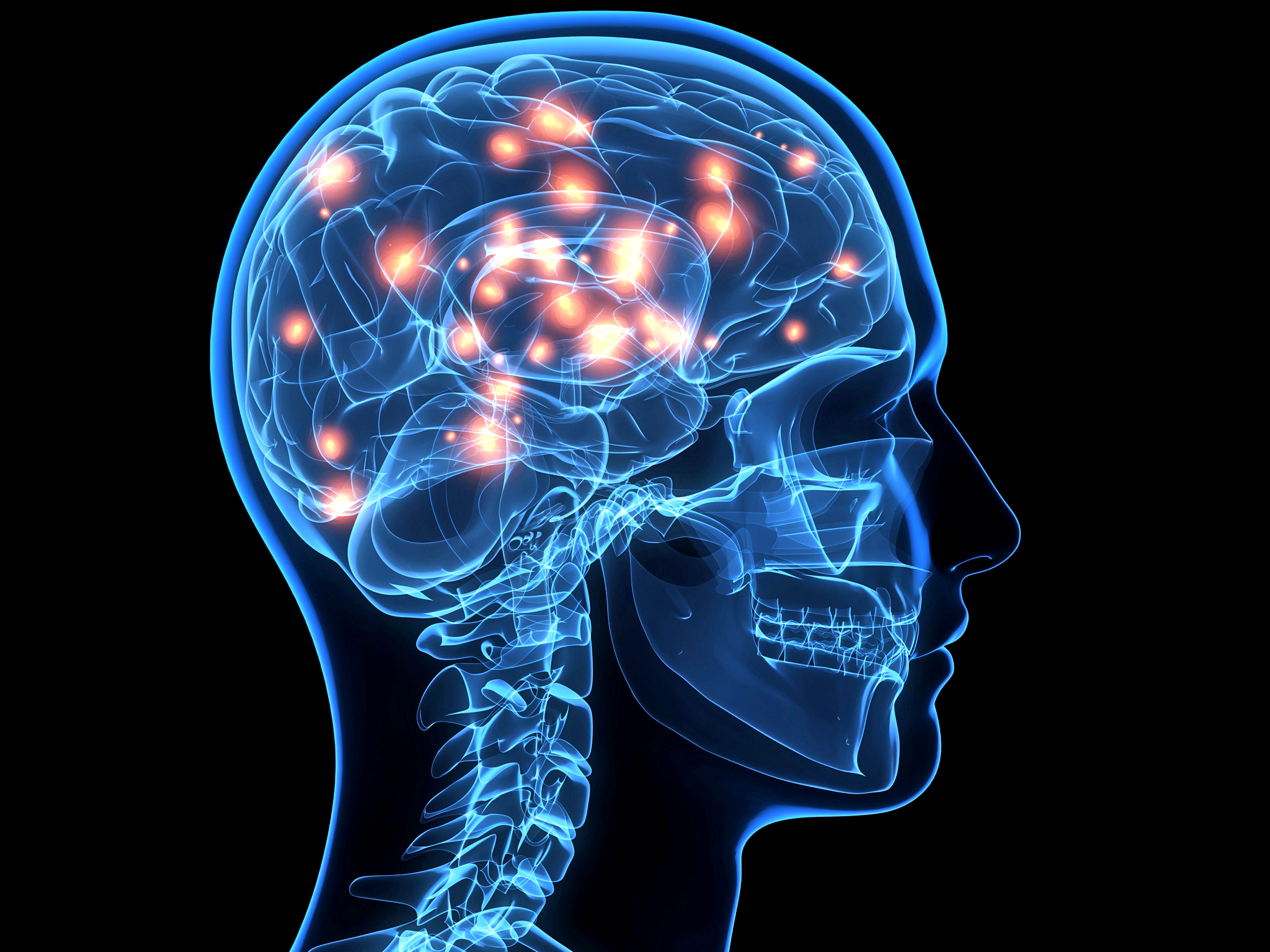 brain.png