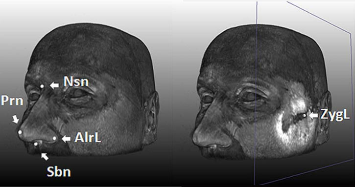 facial-landmarks.jpg