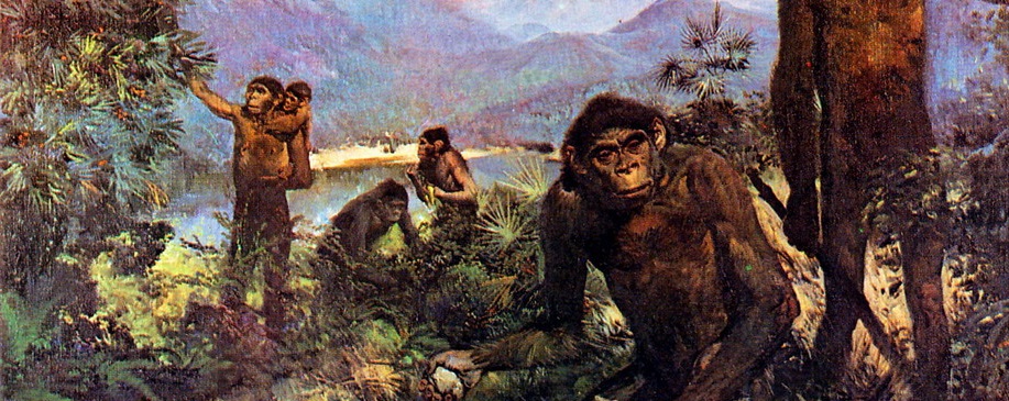 homo_erectus_by_zdenek_burian_1955.jpg