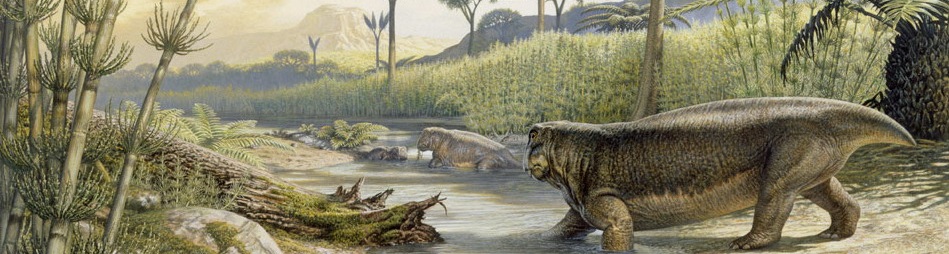 illustration_01.jpg