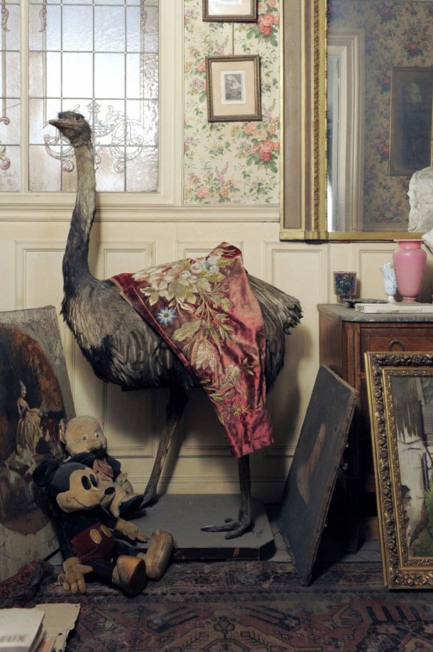 perfectly-preserved-paris-apartment-discovered-after-70-years-with-valuables-and-paintings-3.jpg