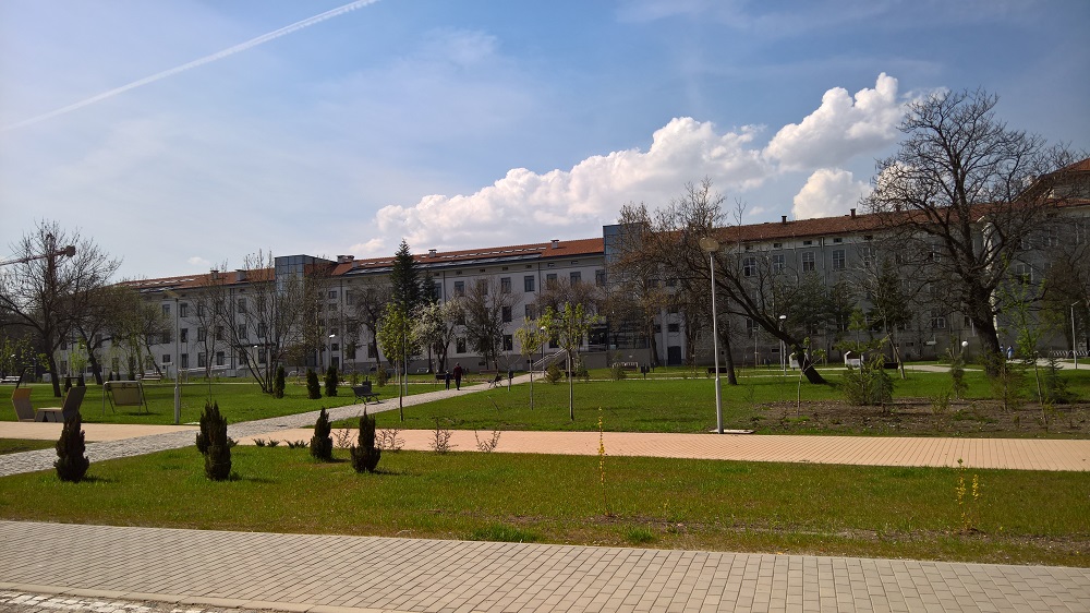 photo-3-incubator.jpg
