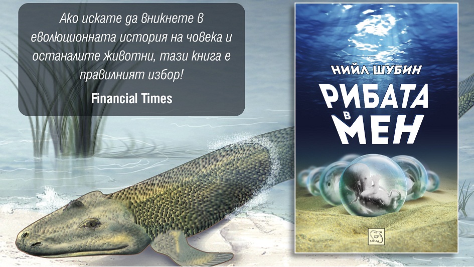 ribata_v_men_add.jpg