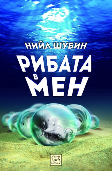 ribata_v_men_cover.jpg